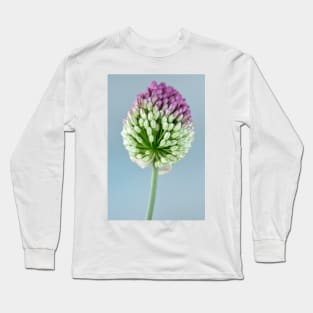 Allium sphaerocephalon AGM Round-headed garlic Round-headed leek Long Sleeve T-Shirt